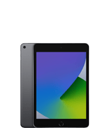 iPad mini (5. Generation)