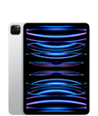 11" iPad Pro (4. Generation)