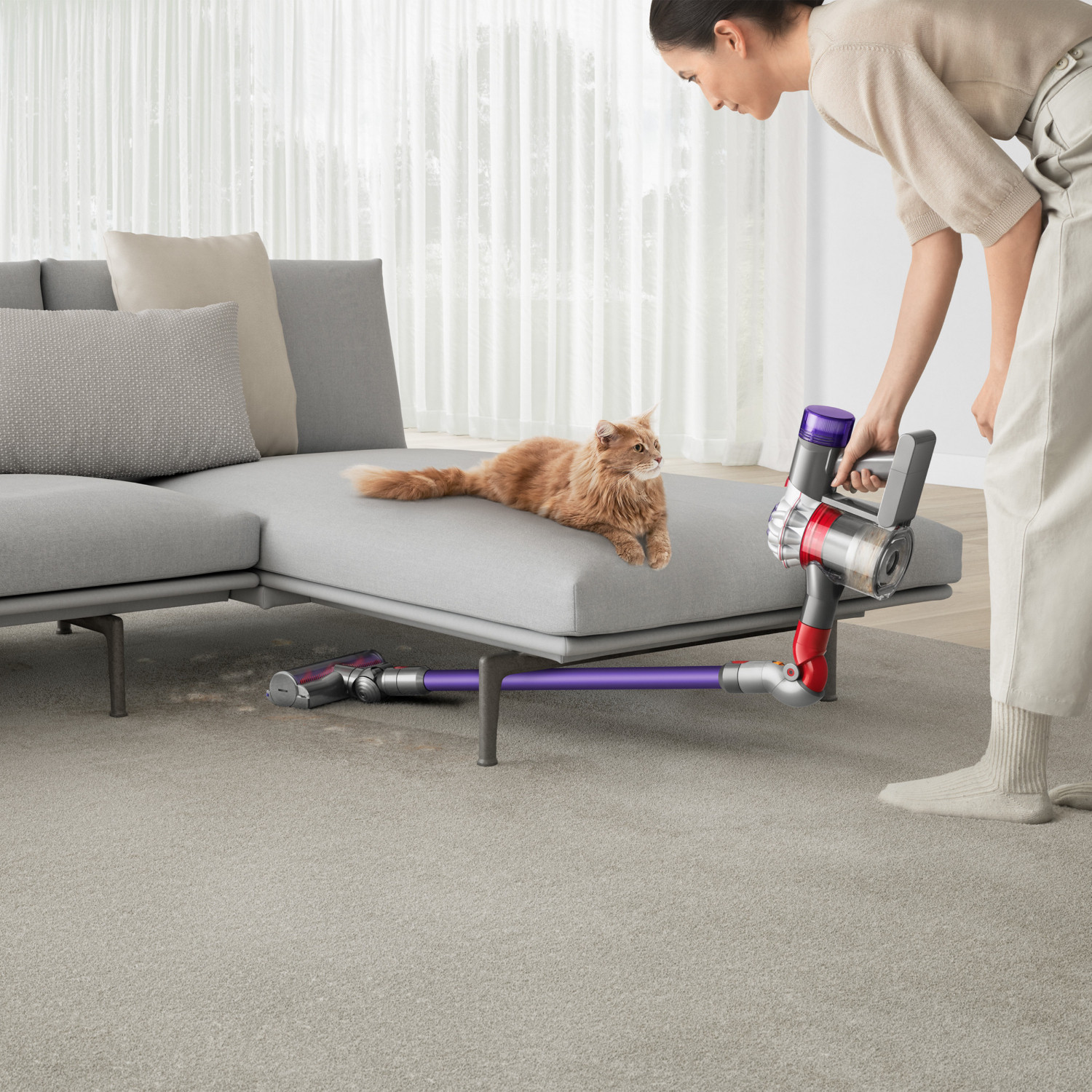 Dyson V8 Origin Silber/Violett | electronic4you