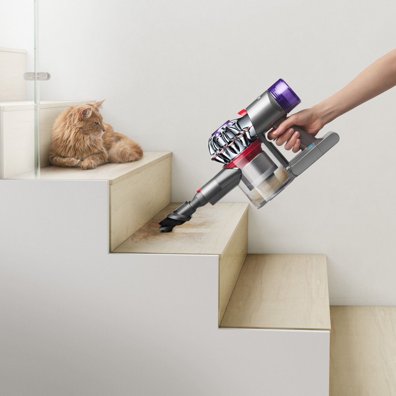 Dyson V8 Origin Silber/Violett | electronic4you