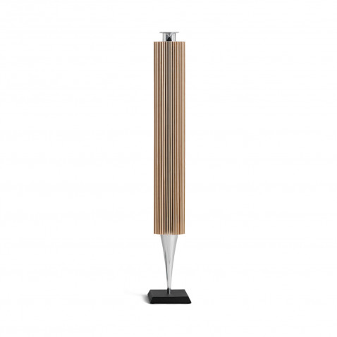 Bang & Olufsen BeoLab 18 LS Abdeckung