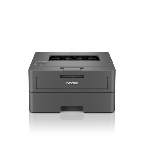 Brother HL-L2400DW S/W-Laserdrucker
