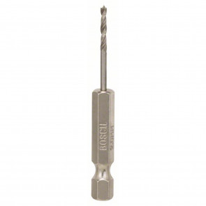 Bosch 6-Kt. Schaft Holzbohrer 2 x 62 mm