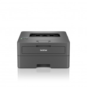 Brother HL-L2400DW S/W-Laserdrucker