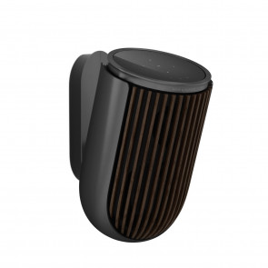Bang & Olufsen Beolab 8 Anthracite B