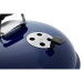 Weber Master-Touch GBS C-5750