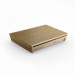 Bang & Olufsen Beosound Level Gold