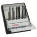 Bosch ROBUSTLINE 10er Holz Expert Set T-
