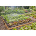 Gardena Micro-Drip-System (40 m²)