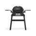 Weber Q1200N Gasgrill mit Seitentischen