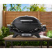 Weber Q2100N Gasgrill