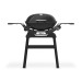 Weber Q2200N Gasgrill mit Seitentischen