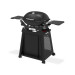 Weber Q2200N Gasgrill mit Seitentischen