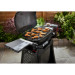 Weber Q2200N Gasgrill mit Seitentischen