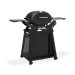Weber Q2800N+ Gasgrill mit Rollwagen