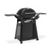 Weber Q3200N+ Gasgrill mit Rollwagen