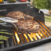 Weber SPIRIT EP-335 GBS Gasgrill (2025)