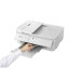 Canon PIXMA TS9551Ca